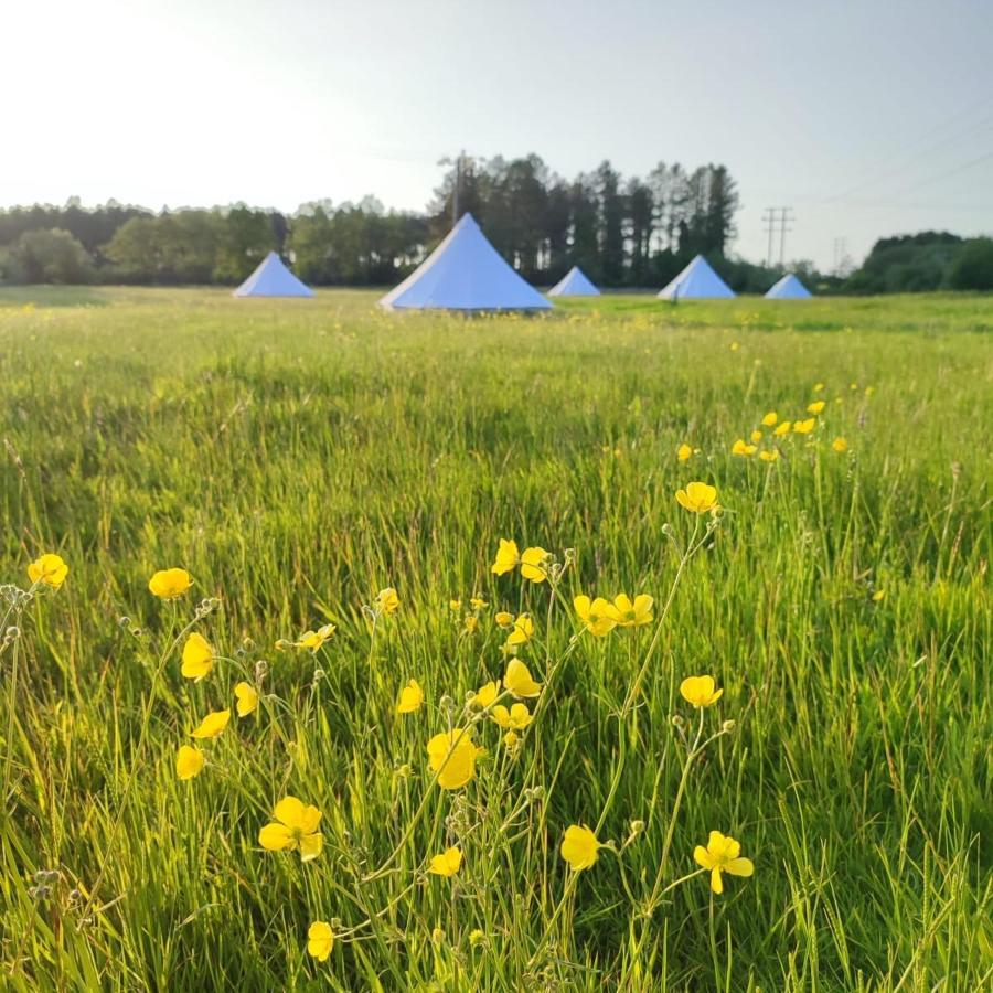 Dorset Glamping Fields Hotel Corfe Mullen Kültér fotó